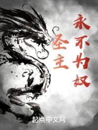 圣主永不为奴封面