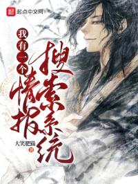 我有一个情报搜索系统封面