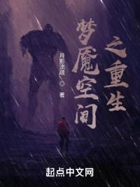 梦魇空间之重生封面