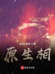原生相封面