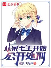 从呆毛王开始公开处刑封面