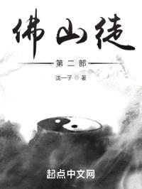 佛山徒第二部封面