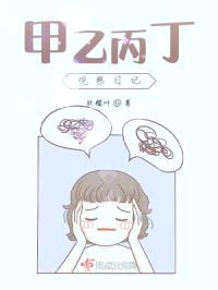 甲乙丙丁观察日记封面