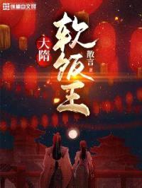 大隋软饭王封面
