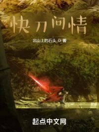 快刀问情封面