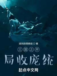 三国之开局收庞统封面