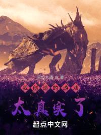 我创造的游戏太真实了封面