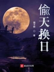 偸天换日封面