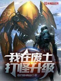 我在废土打怪升级封面