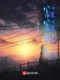 寂寂独行封面