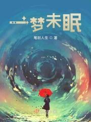 一梦未眠封面