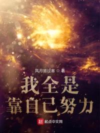 我全是靠自己努力封面