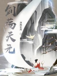 剑荡天元封面