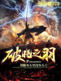 破晓之羽封面