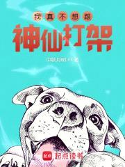 我真不想跟神仙打架封面