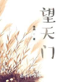 望天门封面