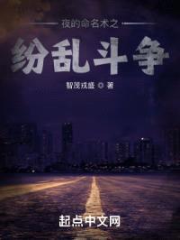 夜的命名术之纷乱斗争封面