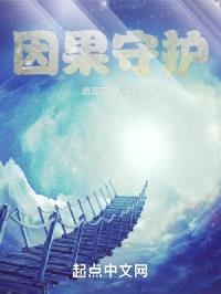 因果守护封面