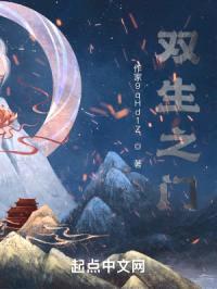 双生之门封面