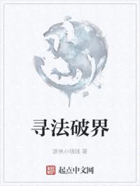 寻法破界封面