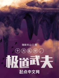 十方乱世，极道武夫封面