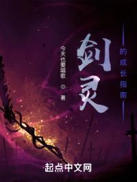 剑灵成长指南封面