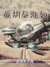 四合院：截胡秦淮如封面