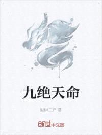 九绝天命封面