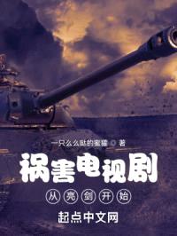 祸害电视剧从亮剑开始封面