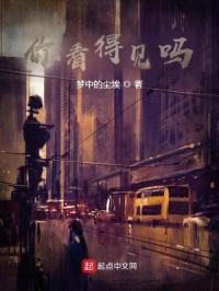 你看得见吗封面