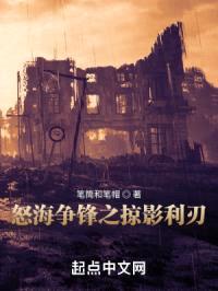 怒海争锋之掠影利刃封面