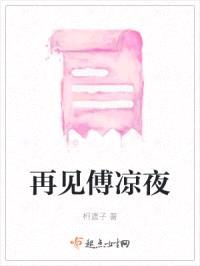 再见傅凉夜封面
