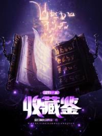 我有一本收藏鉴封面