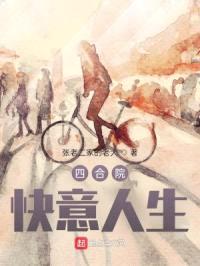 四合院：快意人生封面