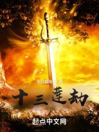 十三莲劫封面