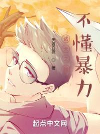 诸天之我不懂暴力封面