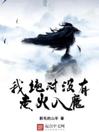 我绝对没有走火入魔封面