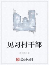 见习村干部封面