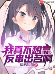 我真不想靠反串出名啊封面