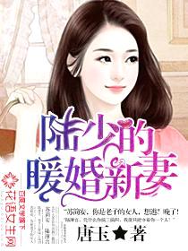 陆少的暖婚新妻封面