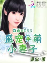 双面BOSS：盛宠呆萌小妻子封面