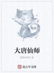 大唐仙师封面