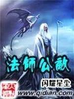 法师公敌封面