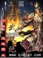 三国之文武双绝封面