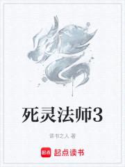 死灵法师封面