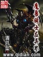 魔兽骑士在异界封面