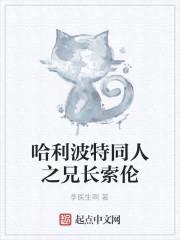 哈利波特同人之兄长索伦封面