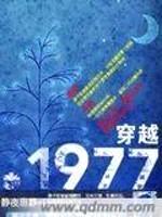 穿越1977封面