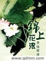 锦上花浓封面