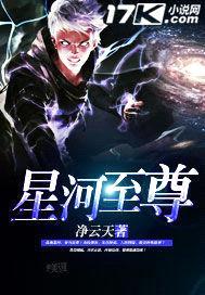 星河至尊封面